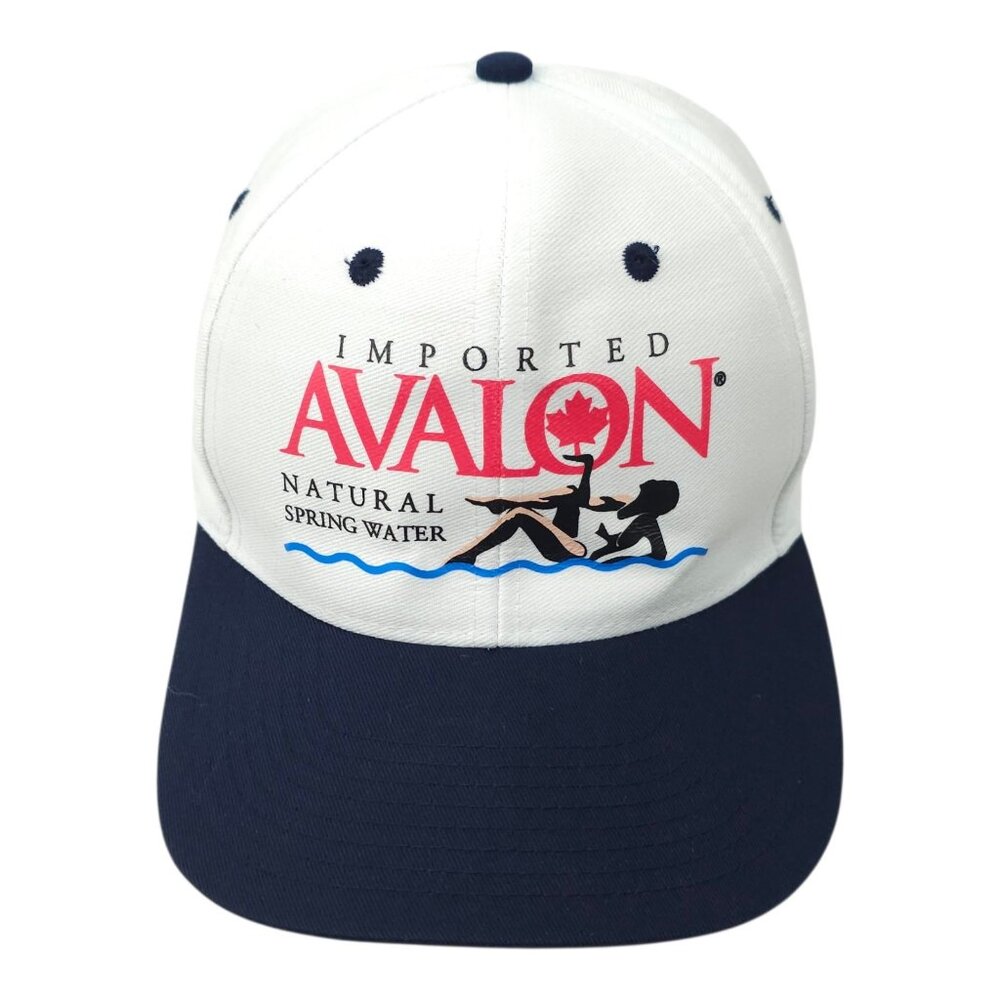 Avalon Imported Natural Spring Water Snapback Cap Vintage Trucker Baseball Hat